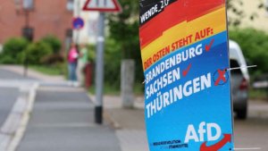 almanyada-ap-secimlerinde-afd-endisesi-S33QtJK9.jpg