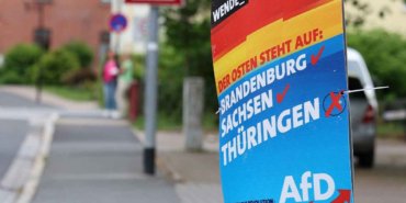 almanyada-ap-secimlerinde-afd-endisesi-S33QtJK9.jpg
