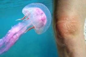 669a66c25e5aabdd4880dc1e