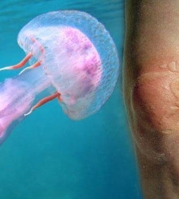 669a66c25e5aabdd4880dc1e