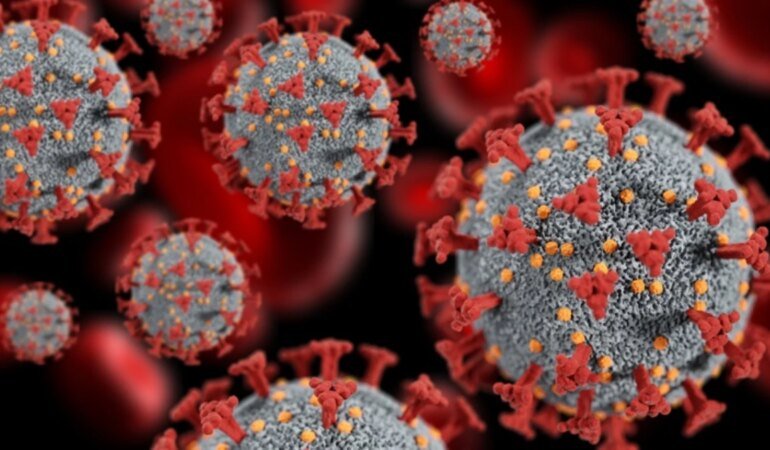 Maymun çiçeği sadece dokunarak mı bulaşıyor, belirtileri neler? İşte alarm verilen virüsle ilgili tüm merak edilenler