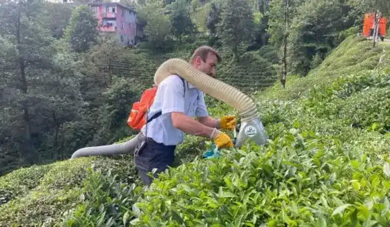 Çay toplamayı kolaylaştıran Rizeli şimdi de kesilen çayları taşıma sorununu kaldırdı.