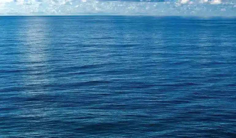 Baf açıklarında ticari gemiden düşen şahıs 5 saat sonra kurtarıldı