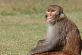 1920x1080_cmsv2_b9aa1c5f-031d-5d86-817e-d22ca7bdd1a8-8842068