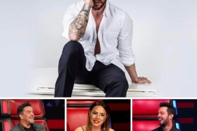 8c8fd331-7913-4e4f-8dd2-5fcecca79f1e