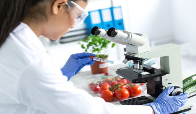 Gıda Denetim Sonuçları Açıklandı