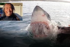 kopek-baligi-dehseti-bacagi-kopsa-da-kiyiya-varmayi-basardi-17306364291563