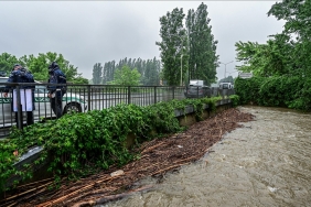 thumbs-b-c-339bc333b988263f9103f9e45fde5cfd