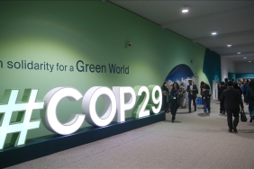 thumbs-b-c-7871d540dfb15e19a7dfcf3aff988f2c