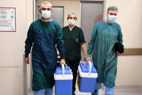 v2organba_1731157667