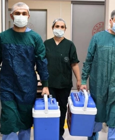 v2organba_1731157667