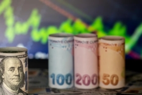 1733986406760doviz-kurlari-16891