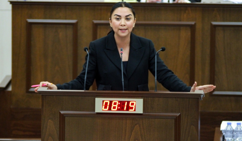 Meclis Genel Kurulu’nda taşınmaz mal edinmeyle ilgili yasa gücünde kararname tartışıldı