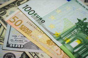 1734420264069döviz 1