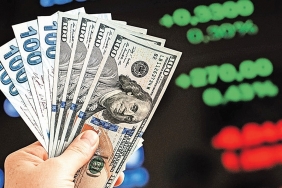 1734677862999dolar-para-vmkr_cov