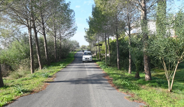 Gönyeli-Alayköy Belediyesi, çam kese böceğine karşı çalışmalarını sürdürüyor