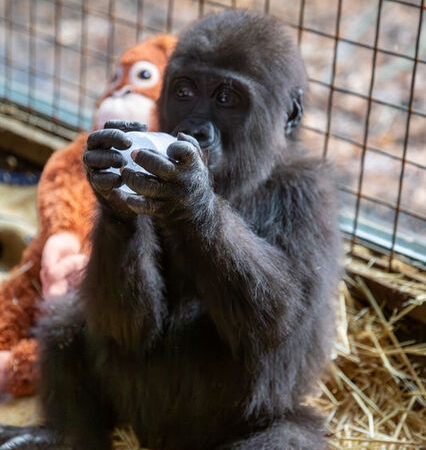 ‘Ufaklıktan haber var’