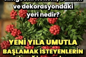 470205588_1126769259457771_5148955651983971633_n