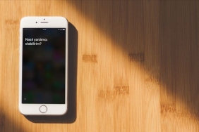 1735891416666thumbs_b_c_ca3b04f8