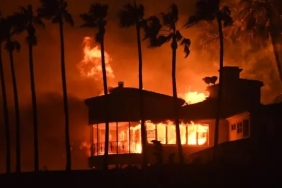 1736841075803_104254304_05050628