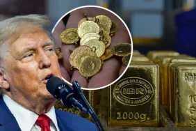 4jsnv9ks33x0btptvtmg-1200-0