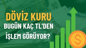 döviz _kur_işlem