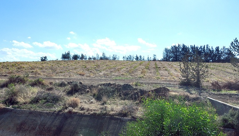 İçişleri Bakanlığı : “Kırsal kesim arsaları satılmayacak ve devredilmeyecek”