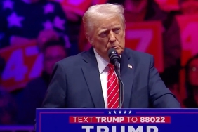 thumbs_b_c_7332896b77655f067a5127fd30ae02e2