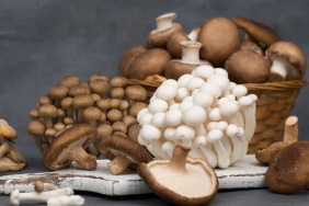 475788486_1065501885610312_5374021065246316966_n