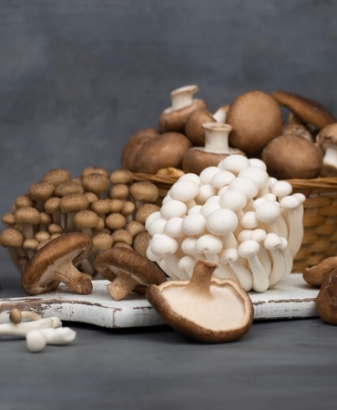 475788486_1065501885610312_5374021065246316966_n