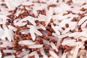 479862027_1028041099371182_407938724911476720_n