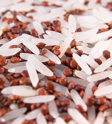 479862027_1028041099371182_407938724911476720_n