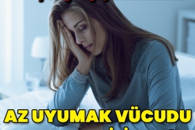 481119548_1083022573858243_1902878014600408936_n