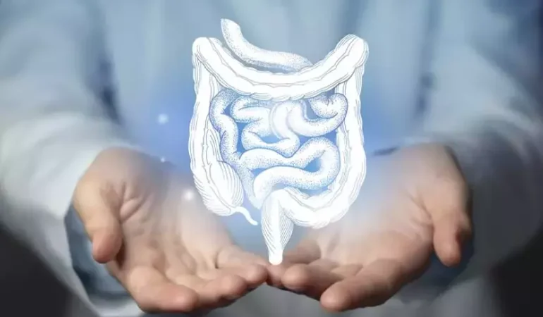 67a04bb95f15baab71bb3664