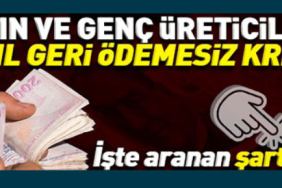 Ekran görüntüsü 2025-02-04 172017