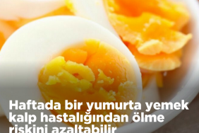 Ekran görüntüsü 2025-02-08 124726