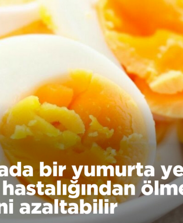 Ekran görüntüsü 2025-02-08 124726