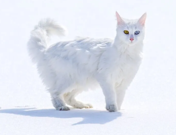 Ekran görüntüsü 2025-02-28 115207