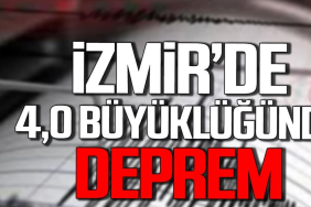 Ekran görüntüsü 2025-02-28 180939