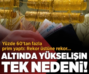 FB_IMG_1739114995074