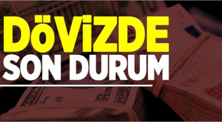 döviz