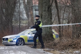 v2tavukrnler91_1738676134