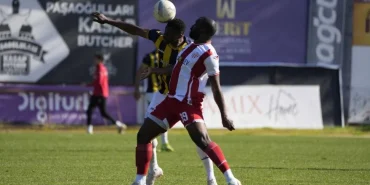 v2yeniproje1_1738499205