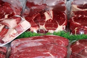 486730380_1108510287976138_6128538463358150474_n