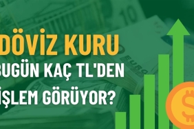 döviz _kur_işlem