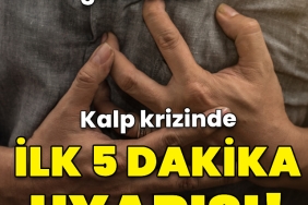 488523225_1119468906880276_2824959569244416265_n