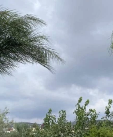 Ekran görüntüsü 2025-05-12 134137