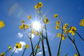 hava _durumu _ sıcaklık