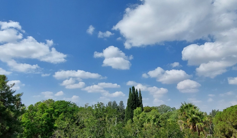 HAVA PARÇALI BULUTLU OLACAK