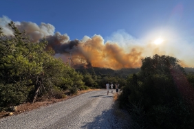 İzmir'in Urla ilçesinde çıkan orman yangına müdahale ediliyor